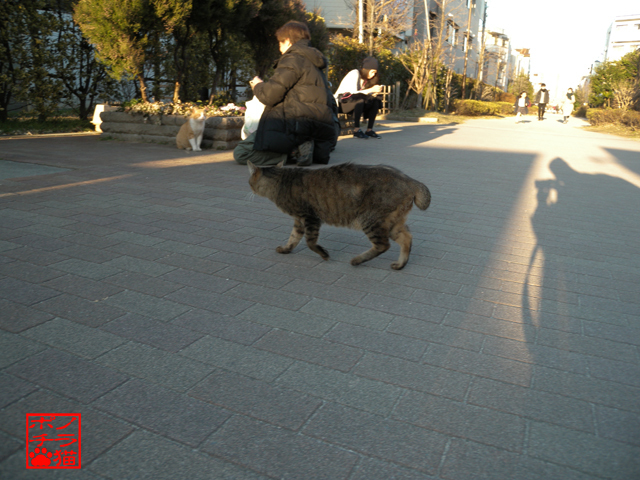 DSCN0119.jpg