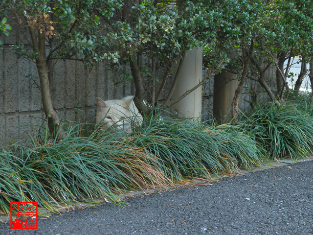 DSCN0140.jpg
