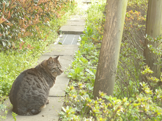 DSCN0142.jpg