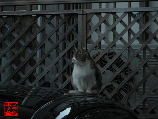 DSCN0145.jpg