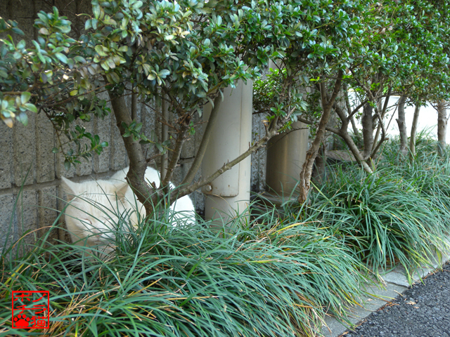 DSCN0145.jpg