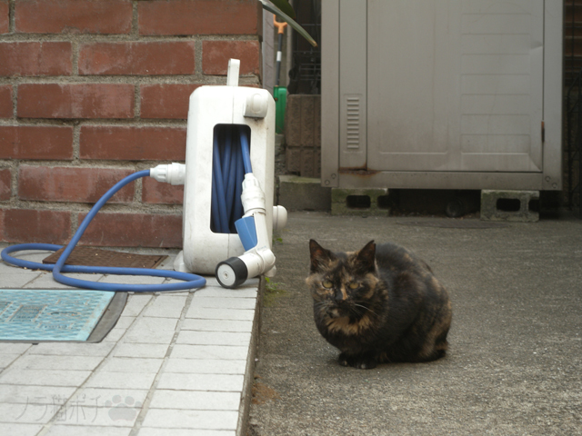 DSCN0148.jpg
