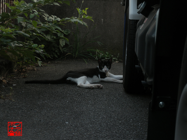 DSCN0151.jpg