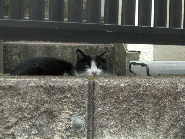 DSCN0160.jpg
