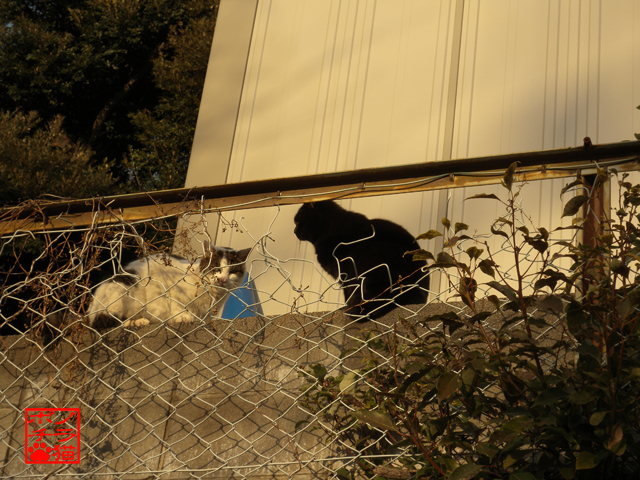 DSCN0161.jpg