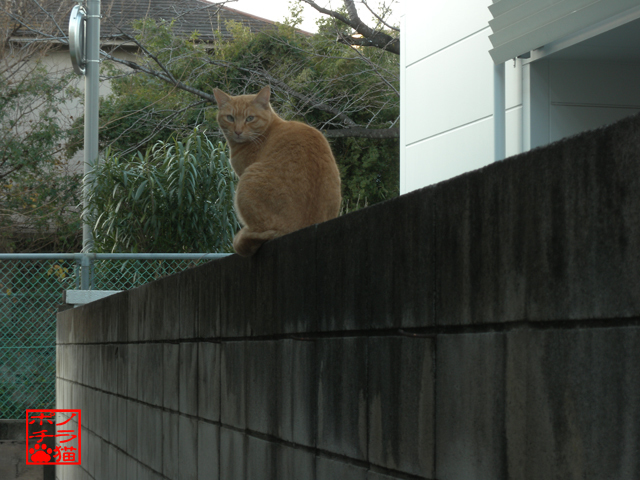 DSCN0167.jpg