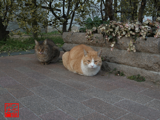 DSCN0170.jpg