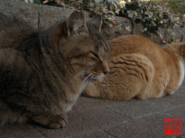 DSCN0173.jpg