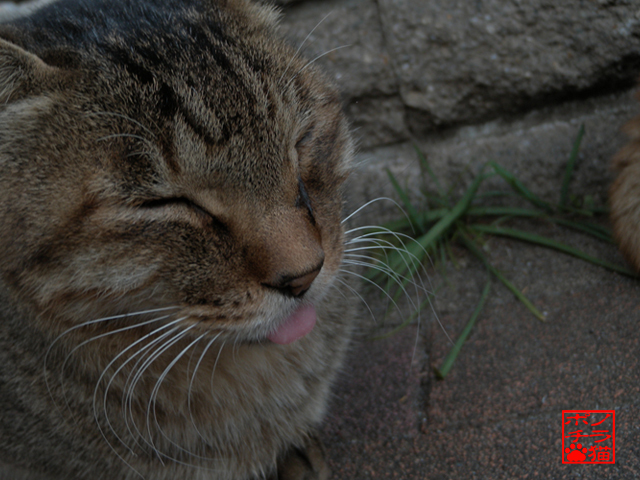 DSCN0175.jpg