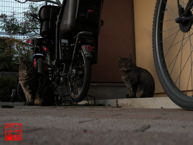 DSCN0183.jpg