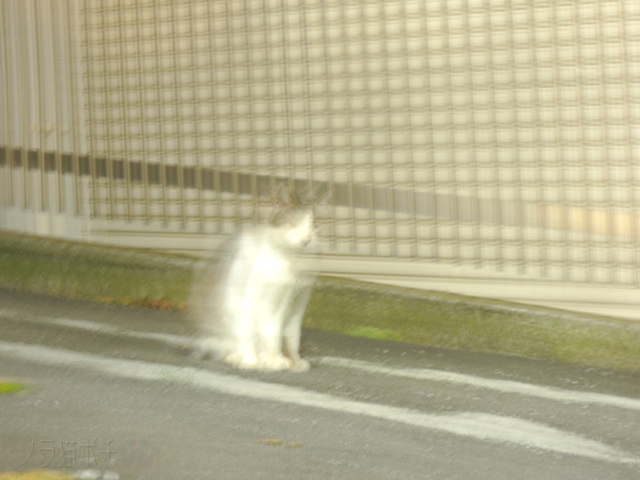 DSCN0186.jpg