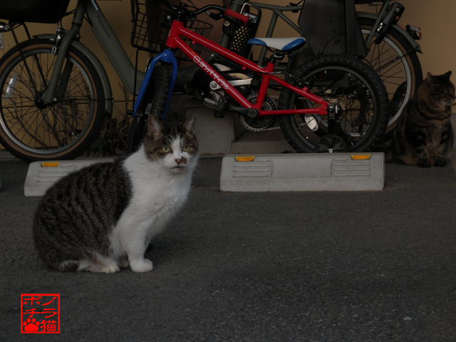 DSCN0195.jpg