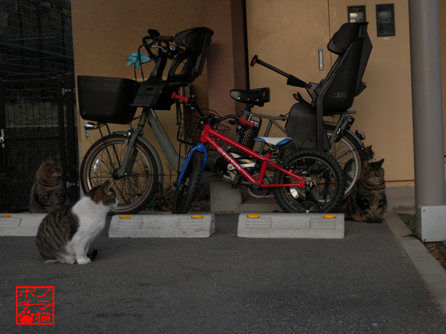 DSCN0200.jpg