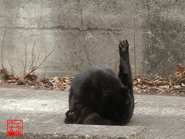 DSCN0213.jpg