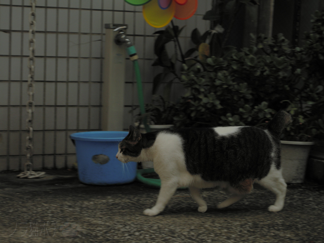 DSCN0217.jpg