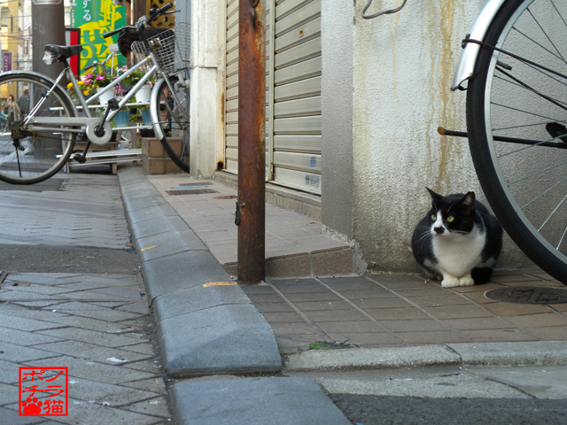 DSCN0219.jpg