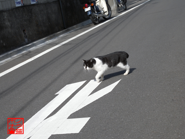 DSCN0232.jpg
