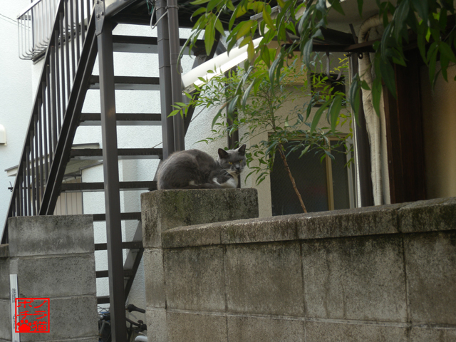DSCN0251.jpg