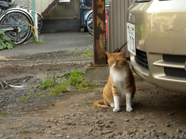 DSCN0256.jpg