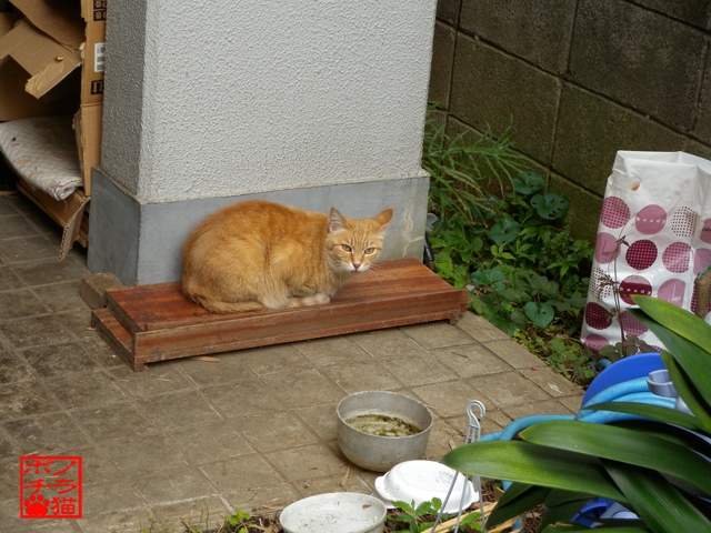 DSCN0269.jpg