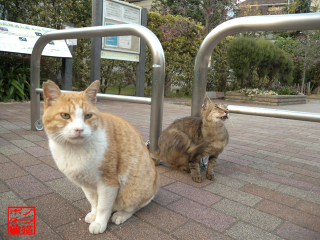 DSCN0275_2.jpg