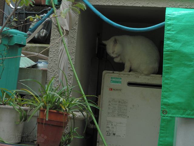 DSCN0282.jpg