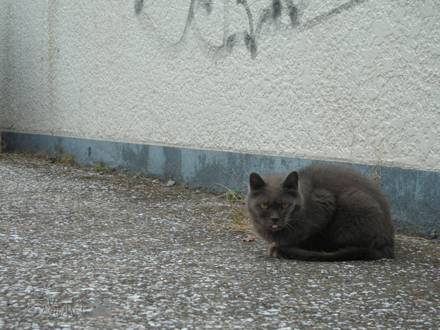 DSCN0298.jpg