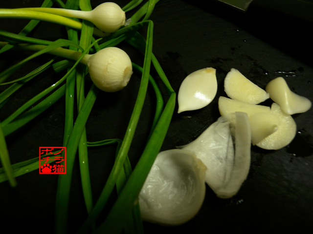 DSCN0314.jpg