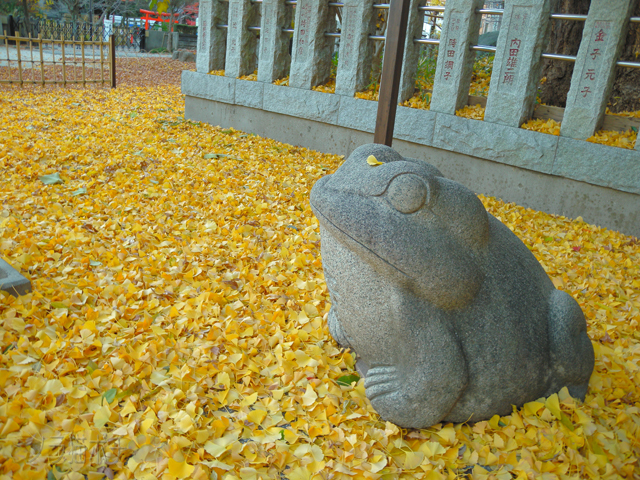 DSCN0315.jpg