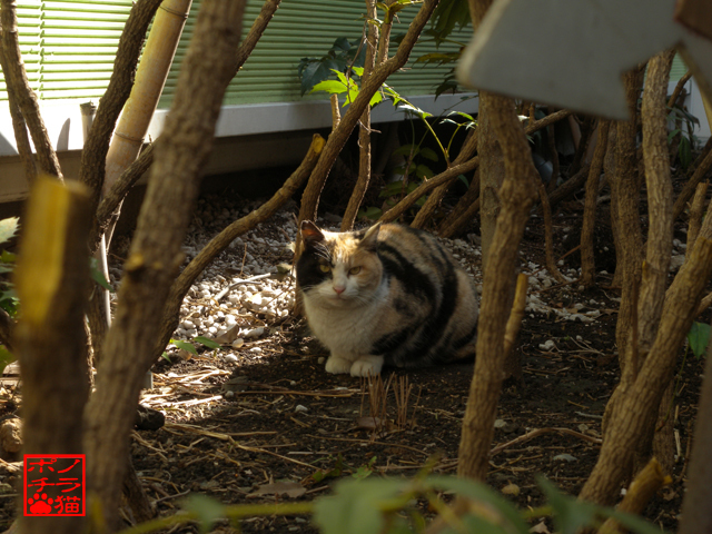 DSCN0317.jpg
