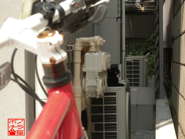 DSCN0334.jpg