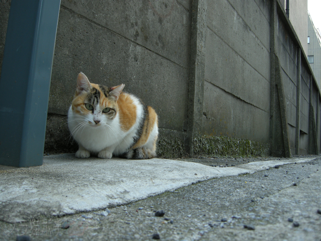 DSCN0355.jpg
