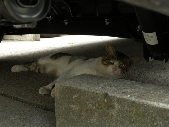 DSCN0457.jpg