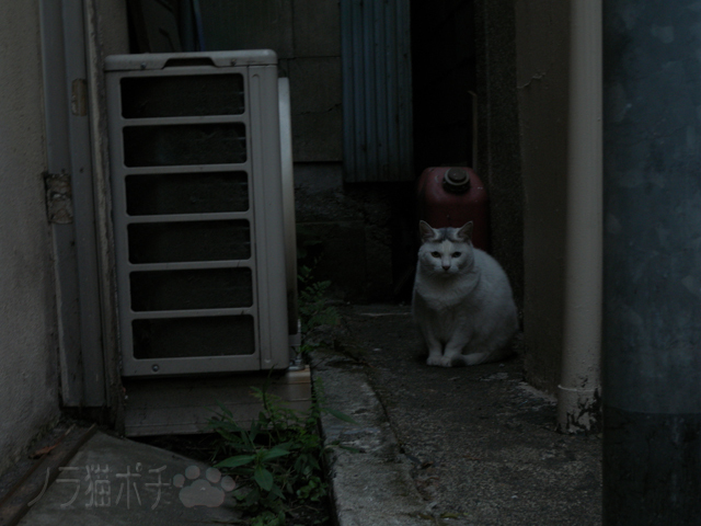 DSCN0489.jpg