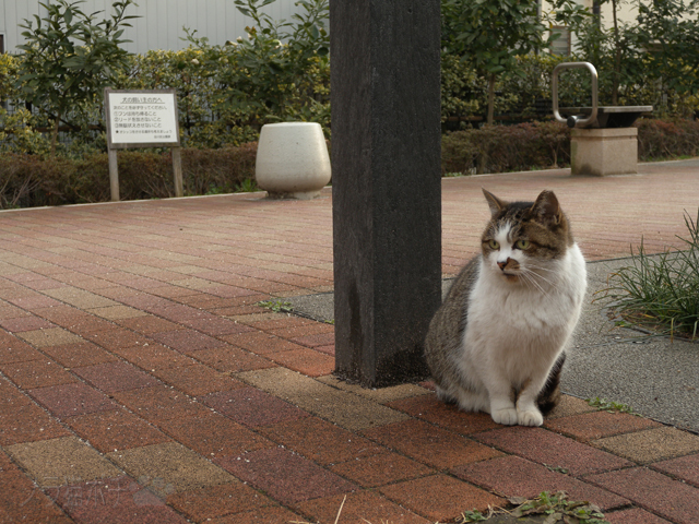 DSCN0565.jpg