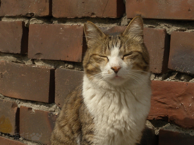 DSCN0576.jpg