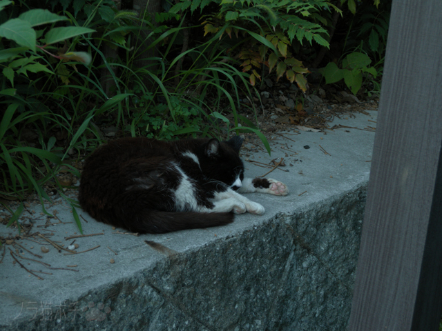 DSCN0584.jpg