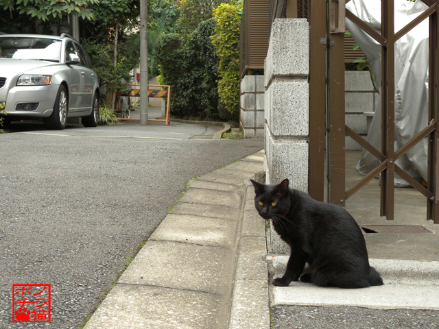 DSCN0639.jpg