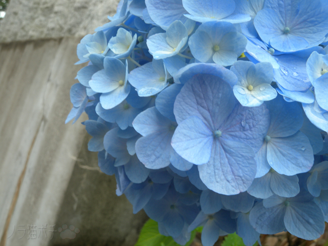 DSCN1266.jpg