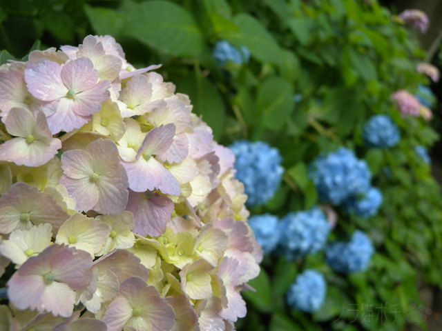 DSCN1285.jpg