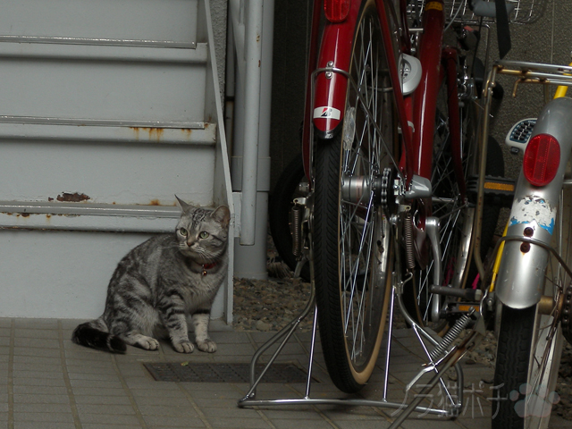 DSCN1296.jpg