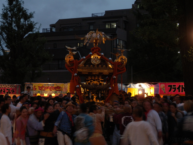 DSCN1382.jpg