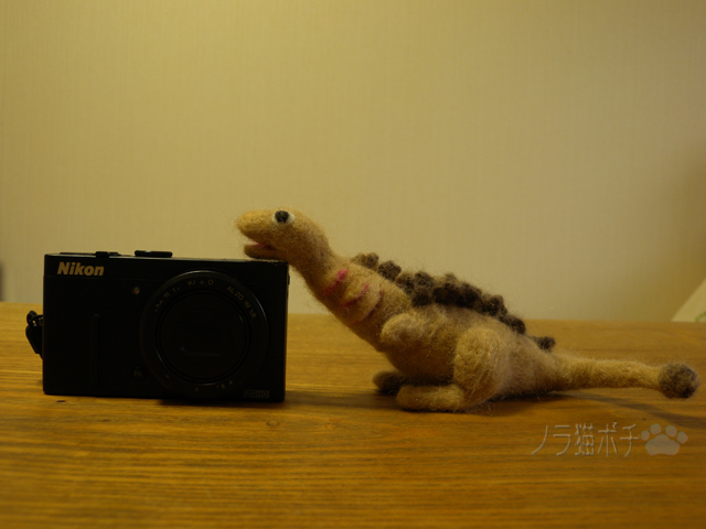 DSCN1427.jpg