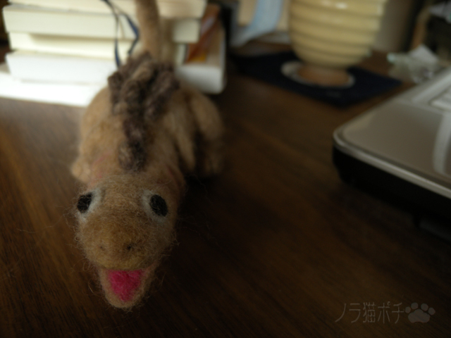 DSCN1448.jpg