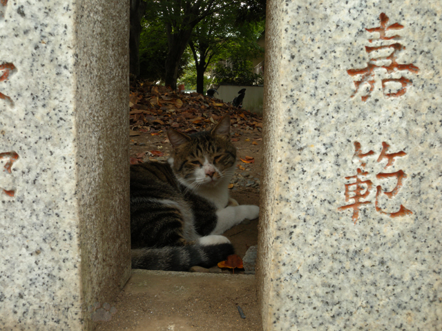DSCN1565.jpg