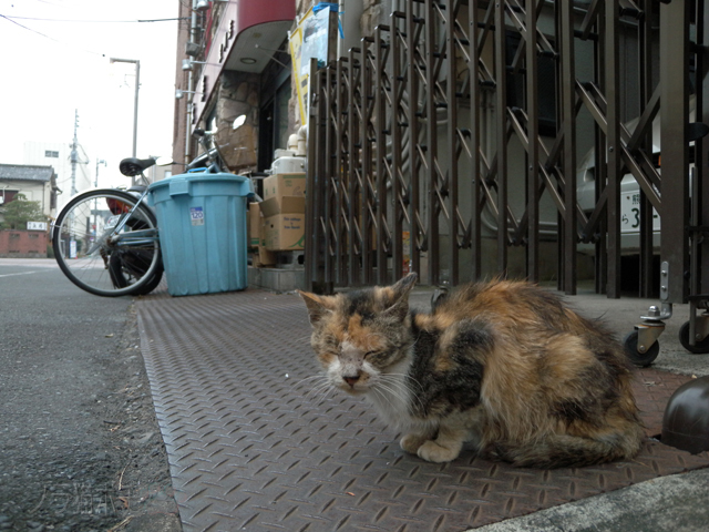 DSCN1653.jpg