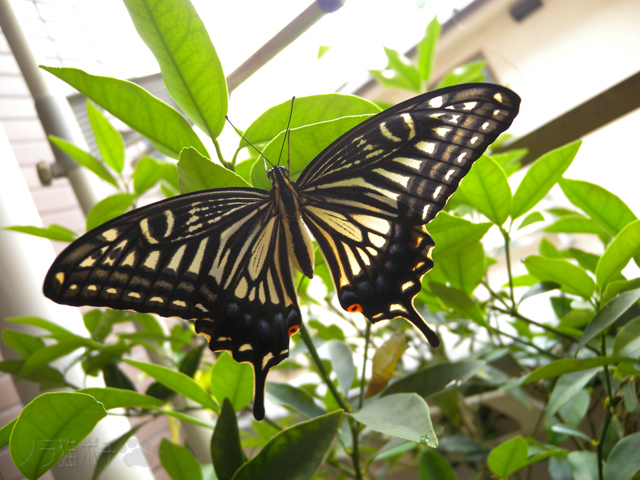 DSCN1829.jpg