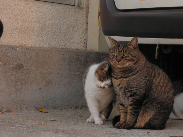 DSCN2219.jpg