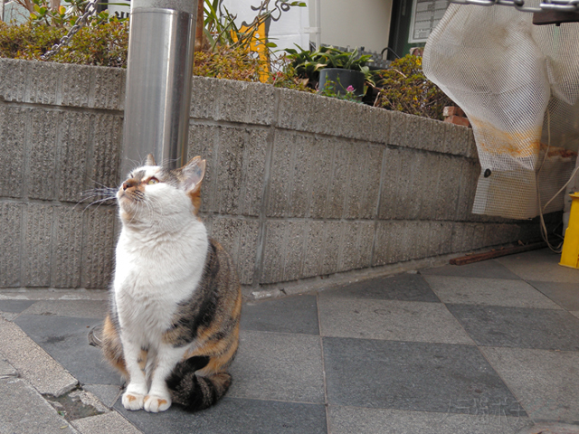 DSCN2313.jpg