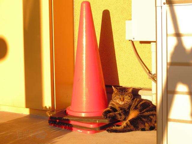 DSCN2340.jpg